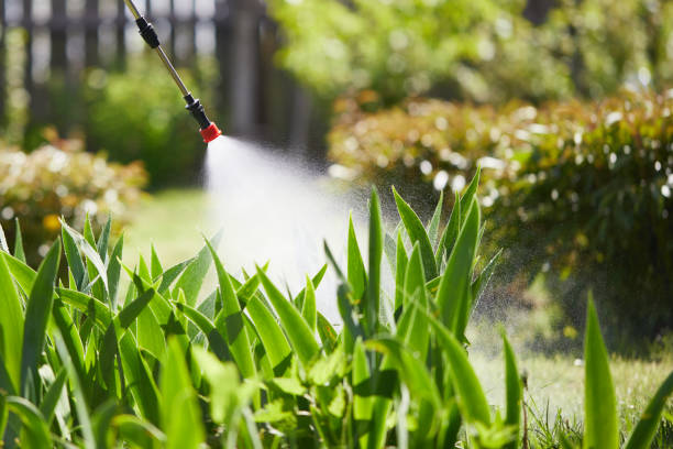 Tamper-Resistant Bait Stations for Rodents in Eagle Lake